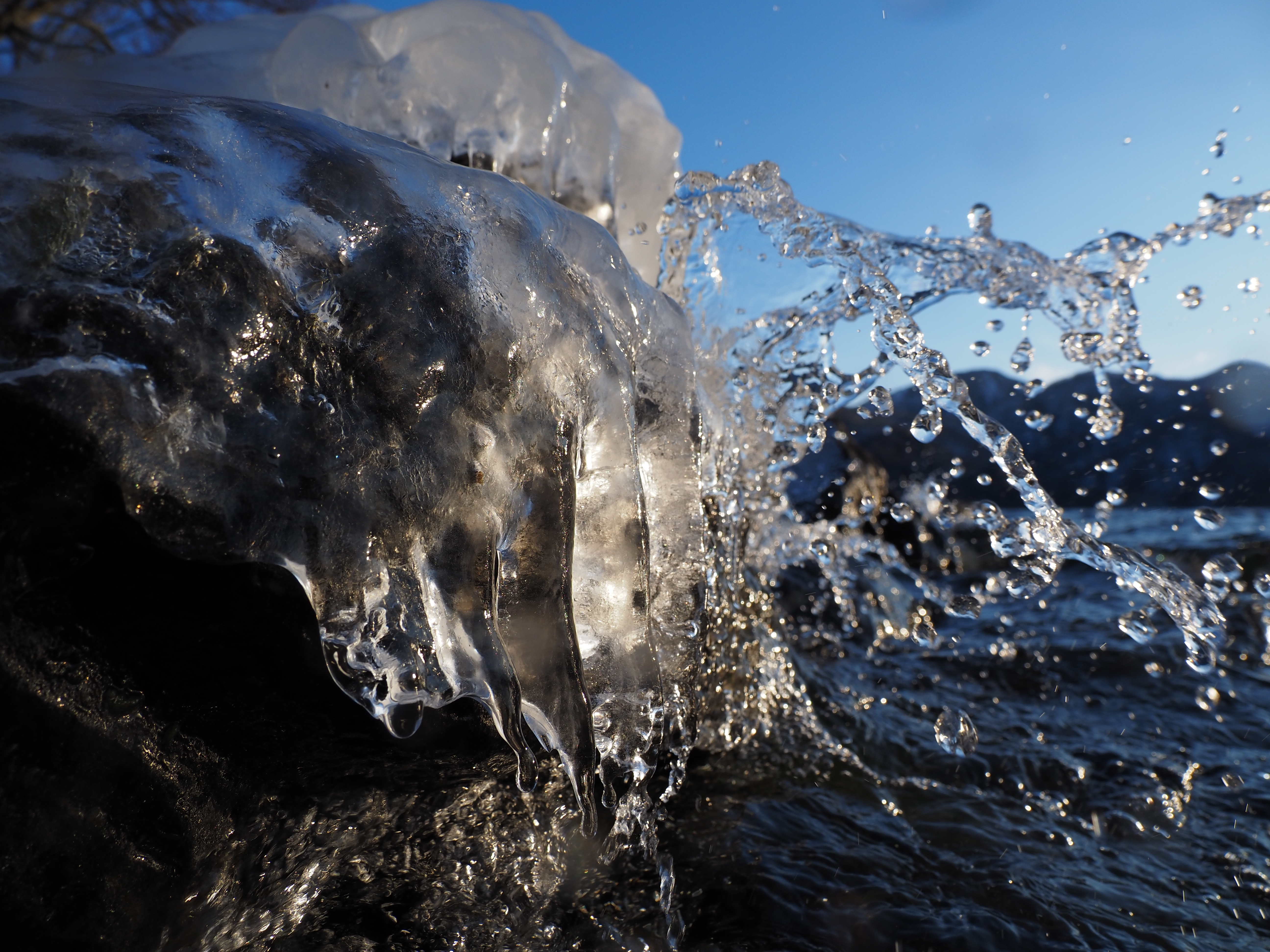 プロキャプチャーLで撮影。M.ZUIKO DIGITAL ED 12-100mm F4.0 IS PRO / 12mm / 1/640秒 / F5.6 / ±0EV / ISO200 / 絞り優先 / ピクチャーモード：Vivid / WB：5200K / ハイライト&シャドウコントロール：Highlight -1, Midtone -1, Shadow +1