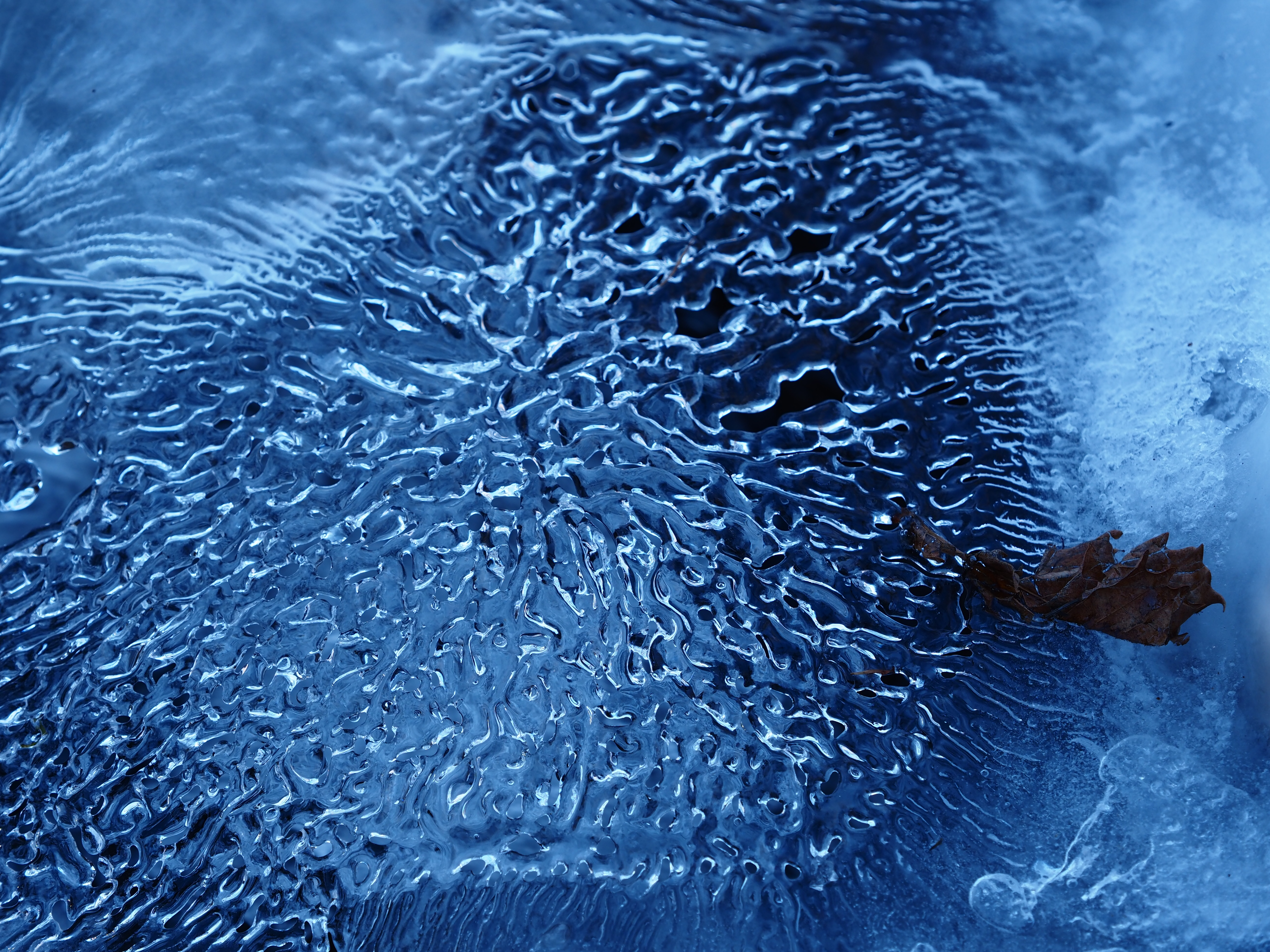 M.ZUIKO DIGITAL ED 40-150mm F2.8 PRO / 125mm / 1/250秒 / F4.0 / ±0EV / ISO200 / 絞り優先 / ピクチャーモード：Vivid / WB：5300K / ハイライト&シャドウコントロール：Highlight +3, Midtone -2, Shadow -2