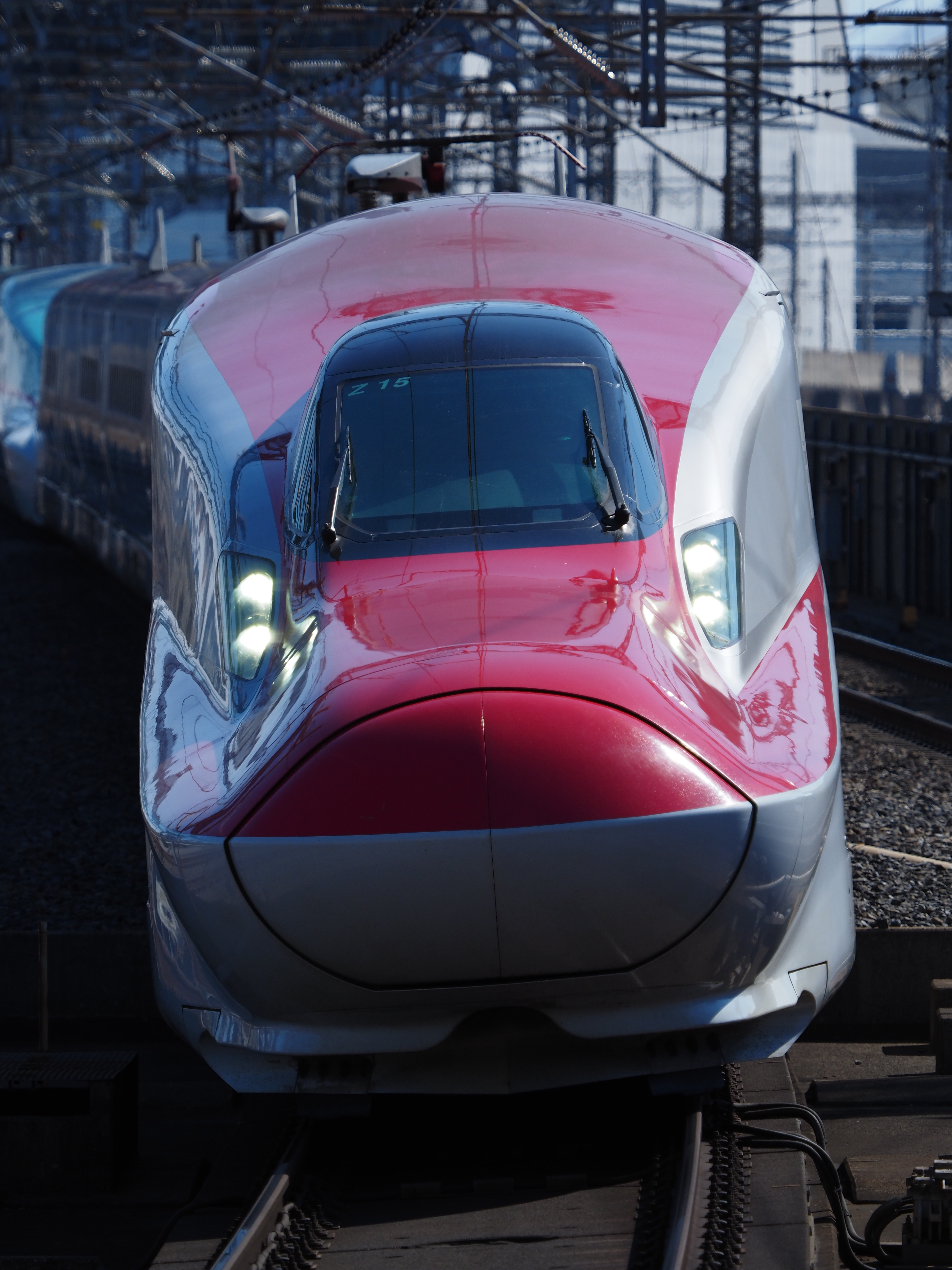 M.ZUIKO DIGITAL ED 40-150mm F2.8 PRO+MC-14 / 210mm / 1/2,000秒 / F4.5 / -0.7EV / ISO200 / マニュアル / ピクチャーモード：Vivid / WB：5300K / ハイライト&シャドウコントロール：Highlight 0, Midtone -2, Shadow 0