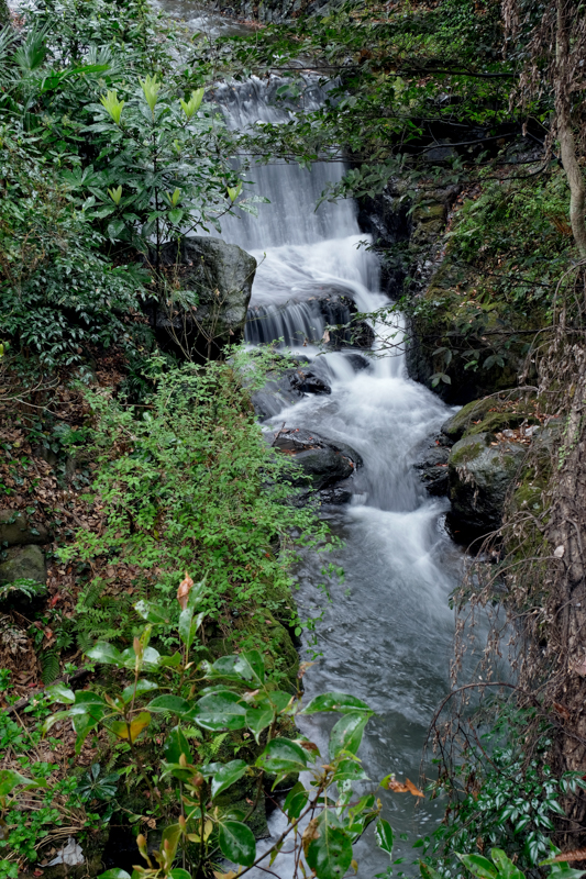 X-E3 / XF18-135mmF3.5-5.6 R LM OIS WR / 32.6mm（49mm相当） / シャッター優先AE（0.5秒・F14・-0.3EV） / ISO 200 / 三脚（UT-3AR）使用