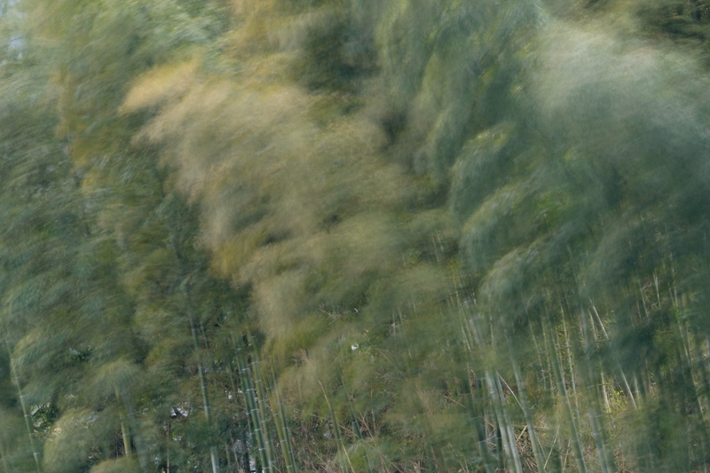 X-E3 / XF55-200mmF3.5-4.8 R LM OIS / 134.5mm（202mm相当） / 絞り優先AE（15.0秒・F10・+0.3EV） / ISO 200 / NDフィルター使用（ND1000） / 三脚（UT-3AR）使用