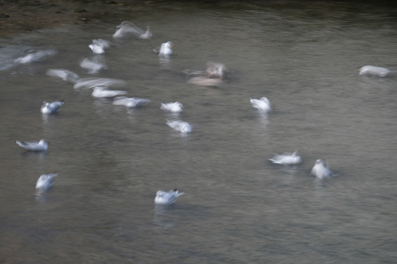 X-E3 / XF55-200mmF3.5-4.8 R LM OIS / 141.3mm（212mm相当） / シャッター優先AE（1.0秒・F4.4・±0EV） / ISO 200 / NDフィルター使用（ND1000） / 三脚（UT-3AR）使用