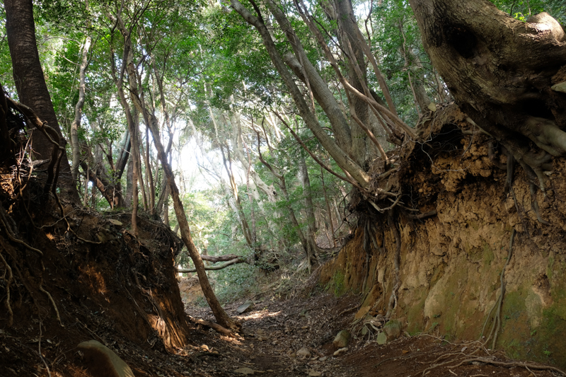 X-E3 / XF18-135mmF3.5-5.6 R LM OIS WR / 18mm（27mm相当） / 絞り優先AE（0.5秒・F8・-0.3EV） / ISO 200 / 三脚（UT-3AR）使用