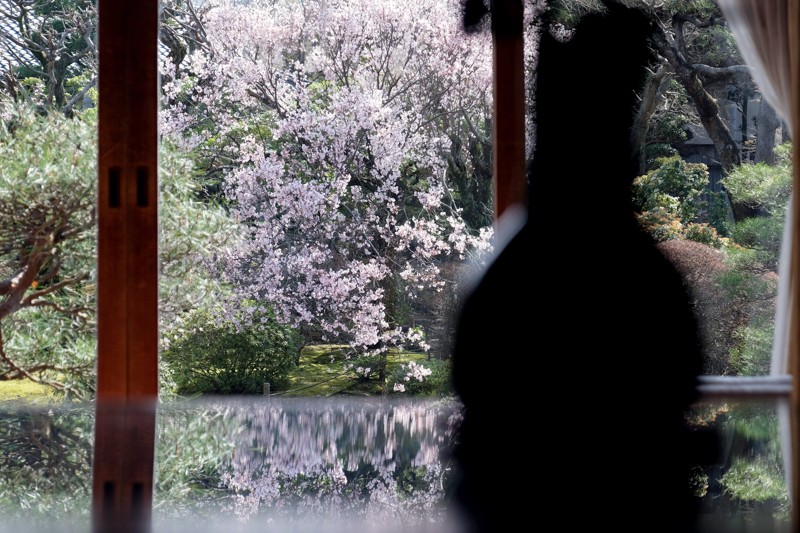 X-E3 / XF18-135mmF3.5-5.6 R LM OIS WR / 58.9mm（88mm相当） / プログラムAE（1/250秒・F5.6・-1.0EV） / ISO 200 / 手持ち撮影