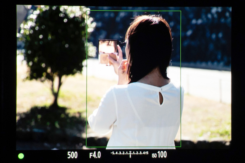 今度は後ろ向きになってもらうと、顔は見えないが人物を認識した。全体をAF枠が囲んでいる。