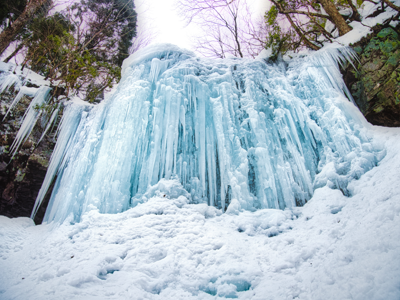 撮影：木村琢磨<br><span class="fnt-85">OLYMPUS OM-D E-M1 Mark II / M.ZUIKO DIGITAL ED 12-100mm F4.0 IS PRO / 12mm（24mm相当） / マニュアル露出（F5.6・1/400秒） / ISO 200</span>