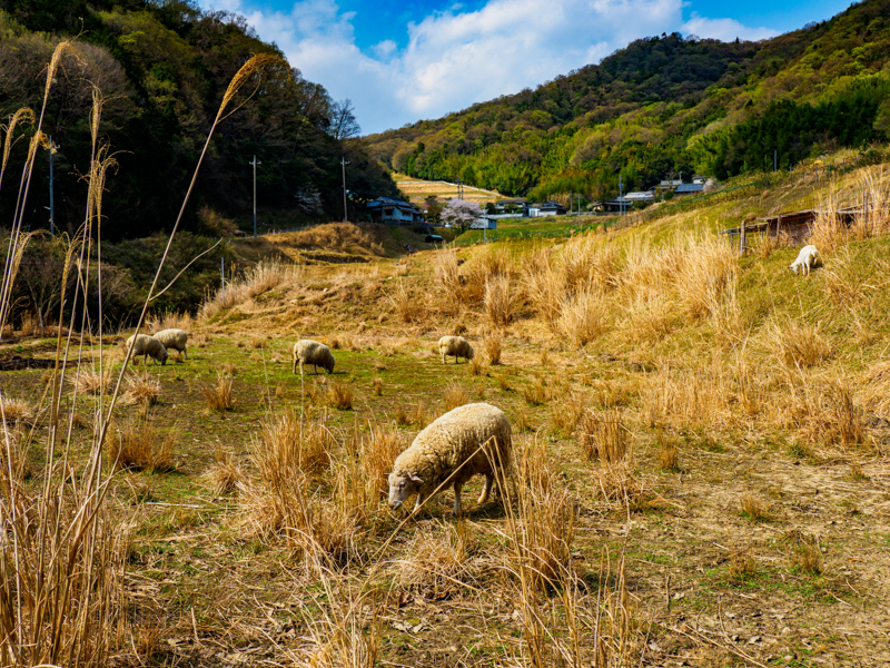 撮影：木村琢磨<br><span class="fnt-85">OLYMPUS OM-D E-M1 Mark II / M.ZUIKO DIGITAL ED 12-100mm F4.0 IS PRO / 20mm（40mm相当） / マニュアル露出（F5.6・1/640秒） / ISO 200</span>