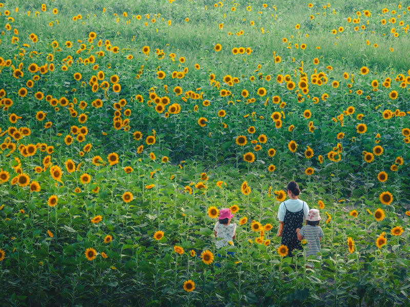 撮影：木村琢磨<br><span class="fnt-85">OLYMPUS OM-D E-M1 Mark II / M.ZUIKO DIGITAL ED 12-100mm F4.0 IS PRO / 100mm（200mm相当） / マニュアル露出（F5.6・1/320秒） / ISO 200</span>