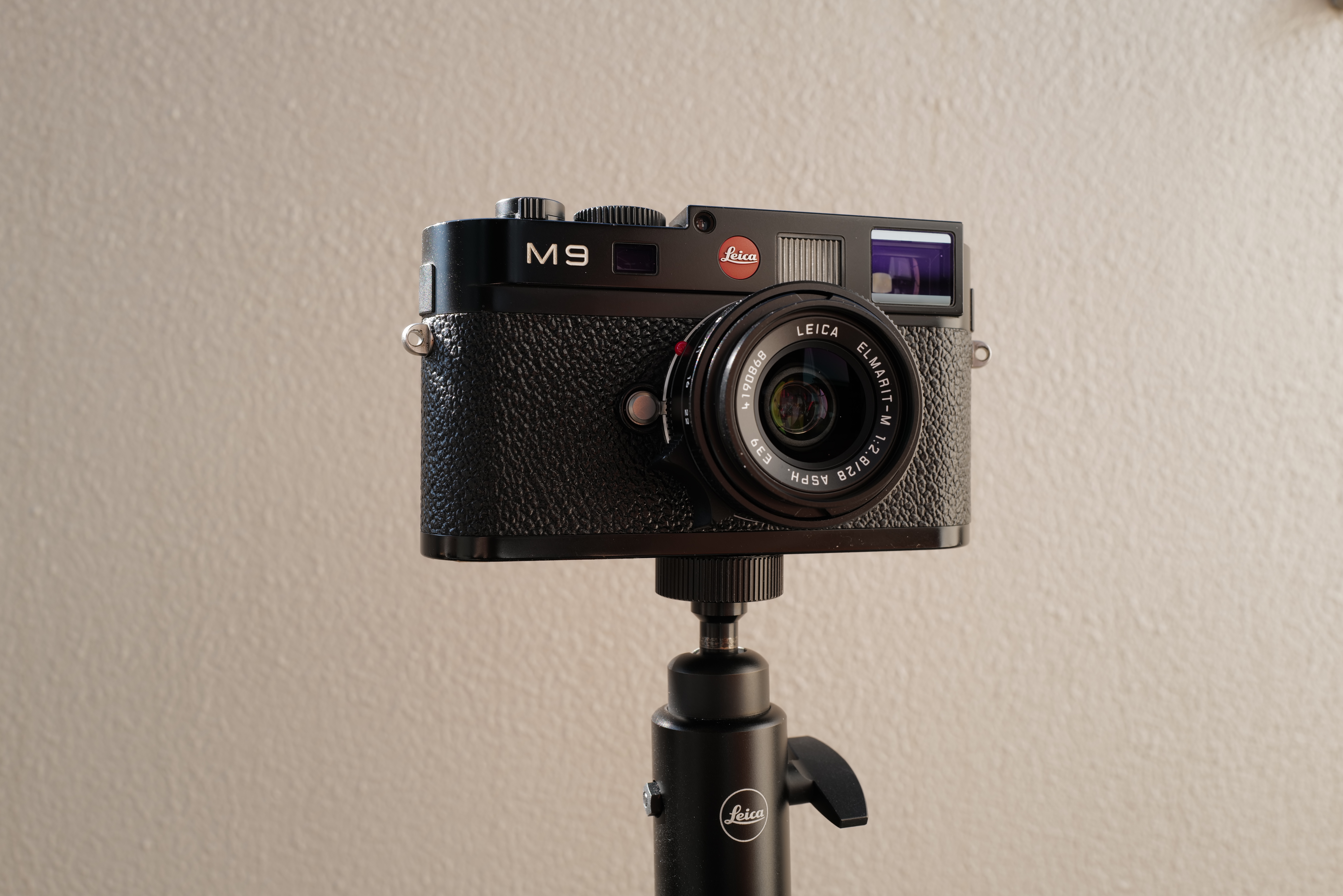 LEICA Q2 / ISO 100 / F8 / 1/50秒 / +0.3EV