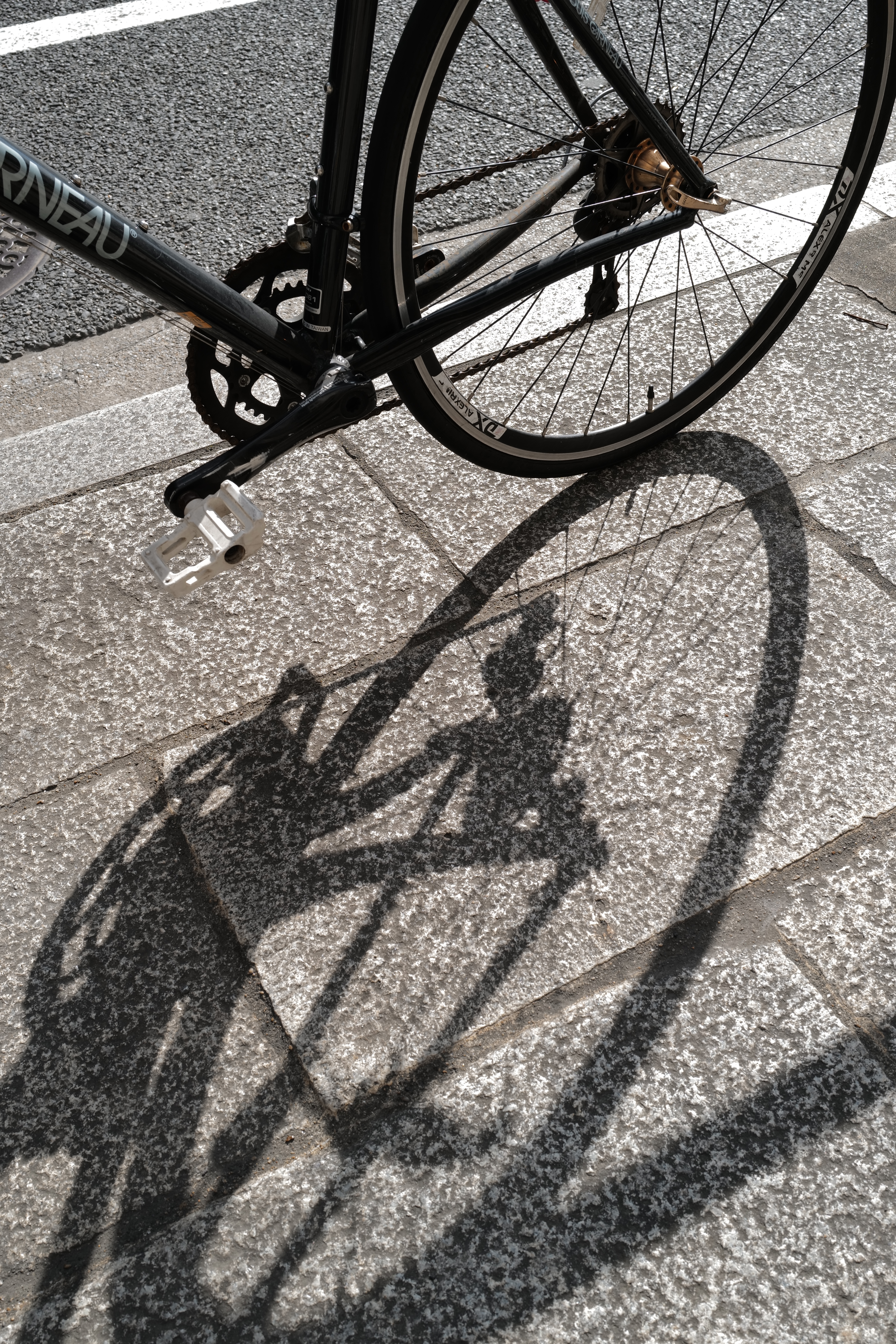 LEICA Q2 / ISO 50 / F8 / 1/80秒 / ±0EV