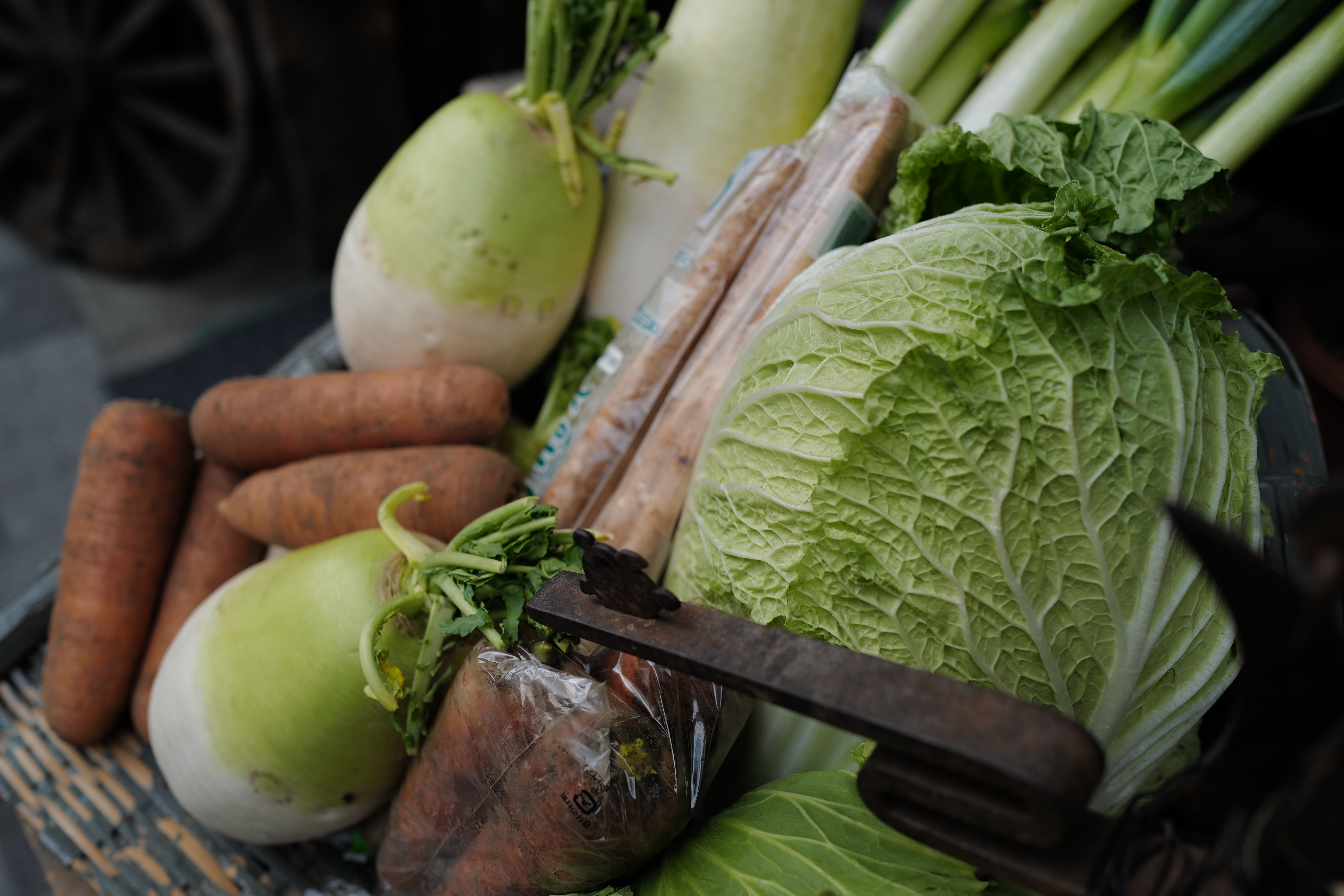 LEICA Q2 / ISO 100 / F2.8 / 1/250秒 / -0.3EV