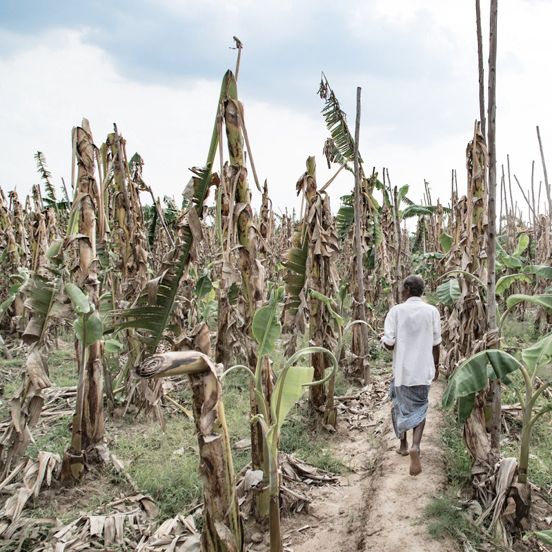 Five Degrees<br><span class="fnt-85">© Federico Borella, courtesy of Sony World Photography Awards 2019</span>