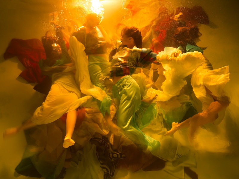 Harmony<br><span class="fnt-85">© Christy Lee Rogers, courtesy of Sony World Photography Awards 2019</span>