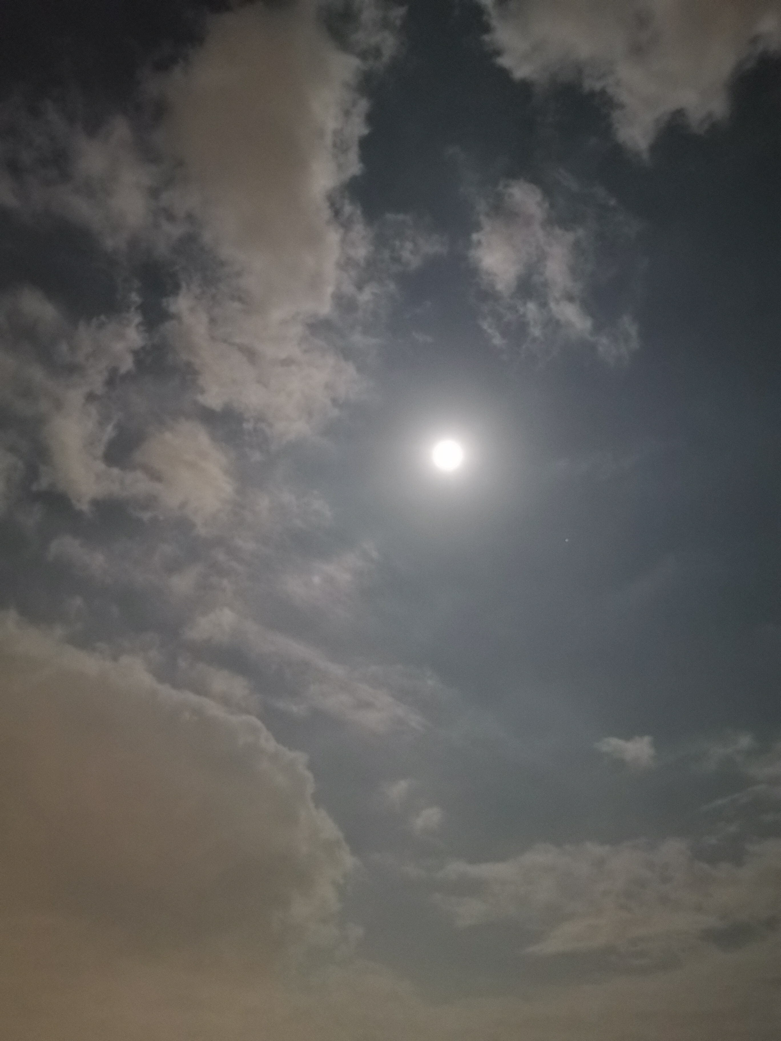 P30 Proのカメラは暗所画質が優れるのも特徴。月明かりの中で、空の階調を滑らかに表現している。35mm判換算27mm相当、ISO 3200、1/16秒。