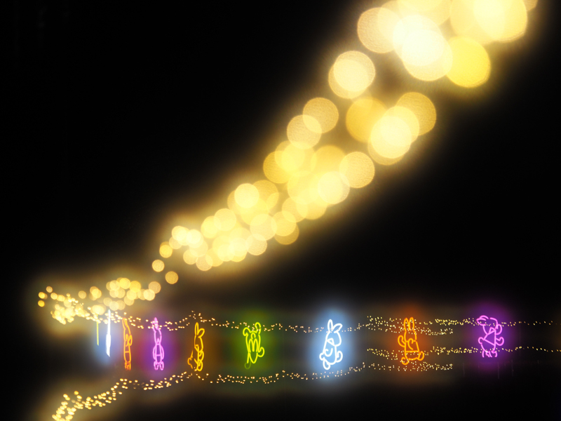 E-M1 Mark II / M.ZUIKO DIGITAL ED 40-150mm F2.8 PRO / 100mm（200mm相当） / 絞り優先AE（1/60秒・F2.8・+0.3EV） / ISO 200 / DHG ソフトファンタジーII