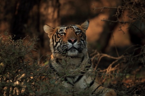 撮影：山田耕熙