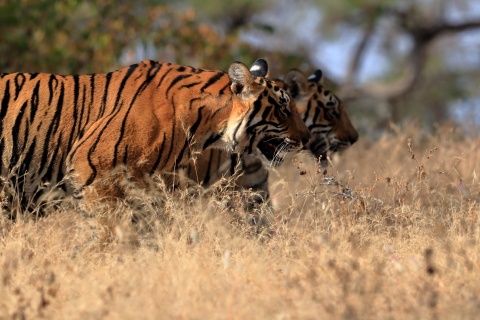 撮影：山田耕熙