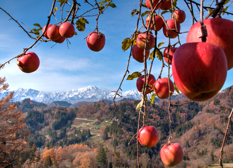 © MouseComputer CO.,LTD. All Rights Reserved.