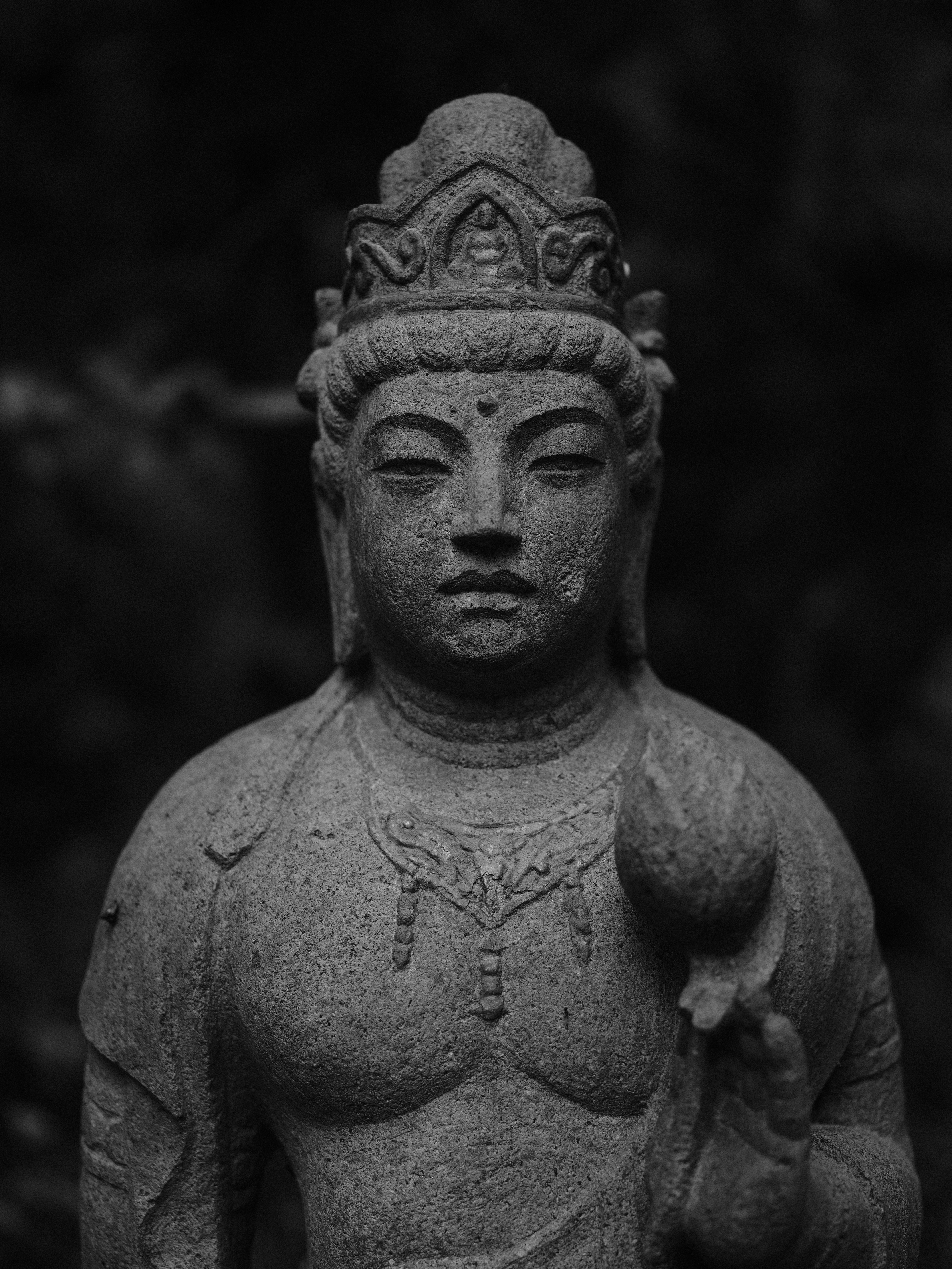 GFX 50R / GF63mmF2.8 R WR / ISO 500 / F3.2 / 1/850秒 / -1.3EV