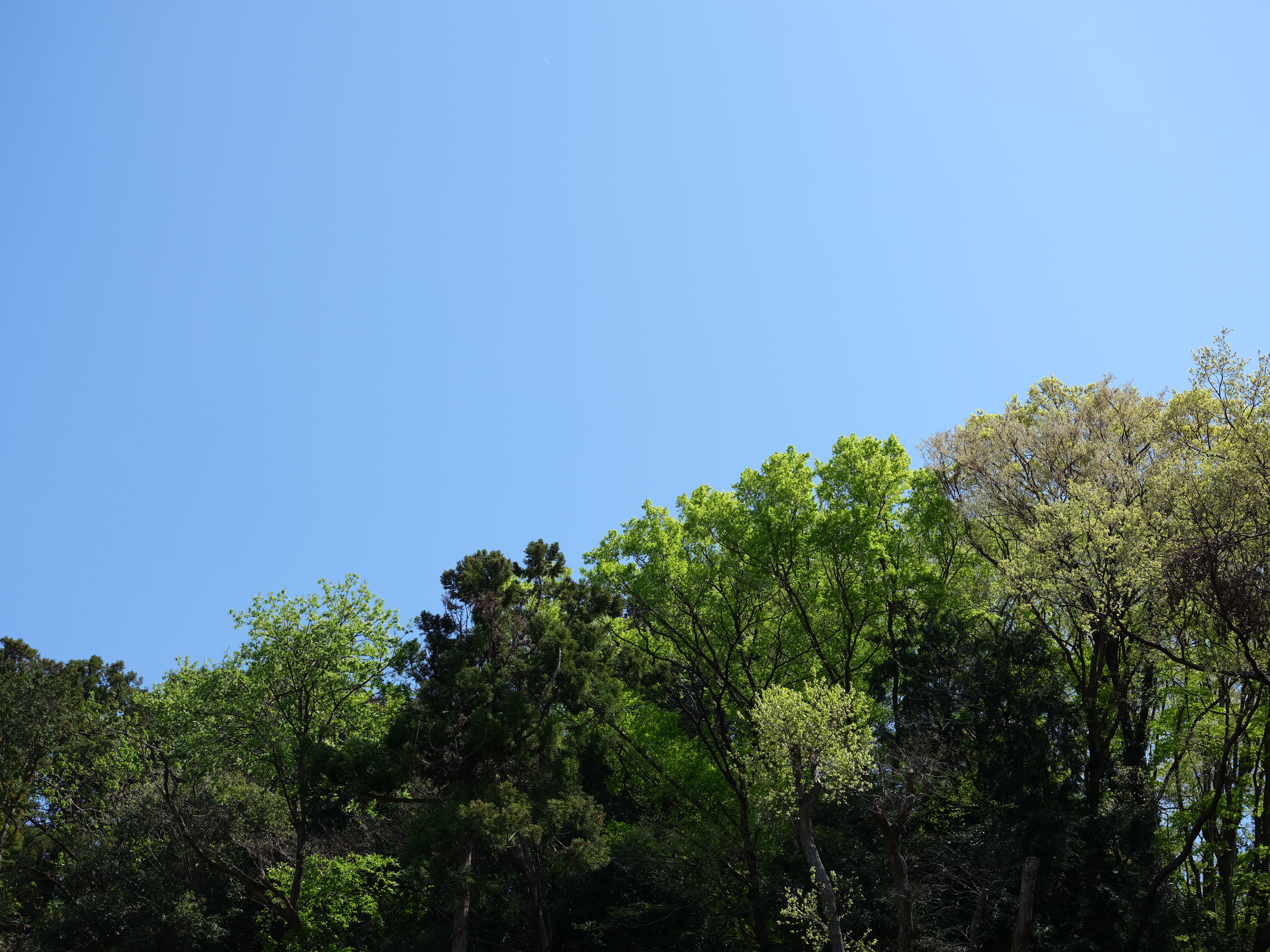 GFX 50R / GF63mmF2.8 R WR / ISO 100 / F5.6 / 1/300秒 / +0.7EV