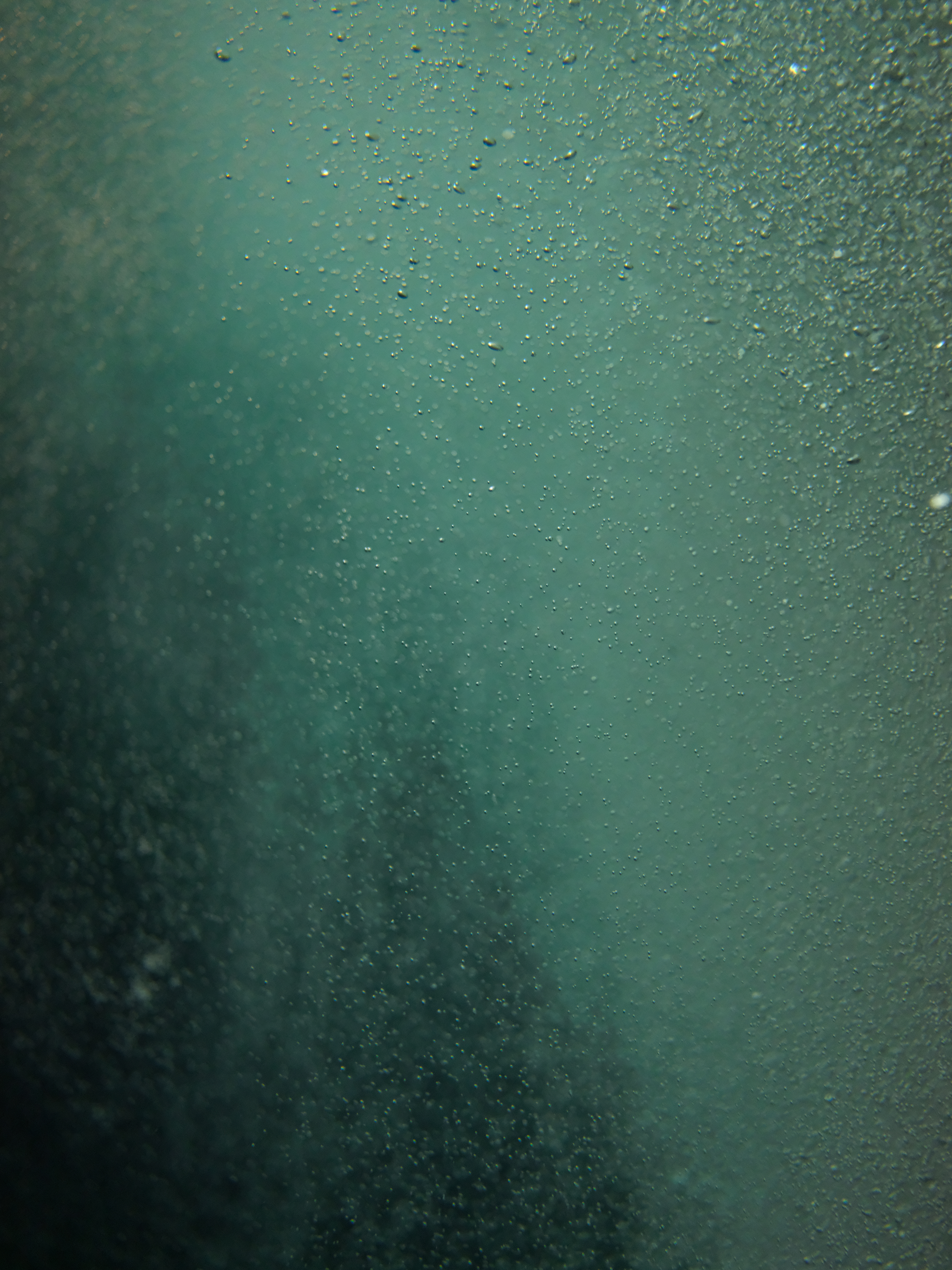 GFX 50R / GF63mmF2.8 R WR / ISO 6400 / F2.8 / 1/1250秒 / -0.3EV