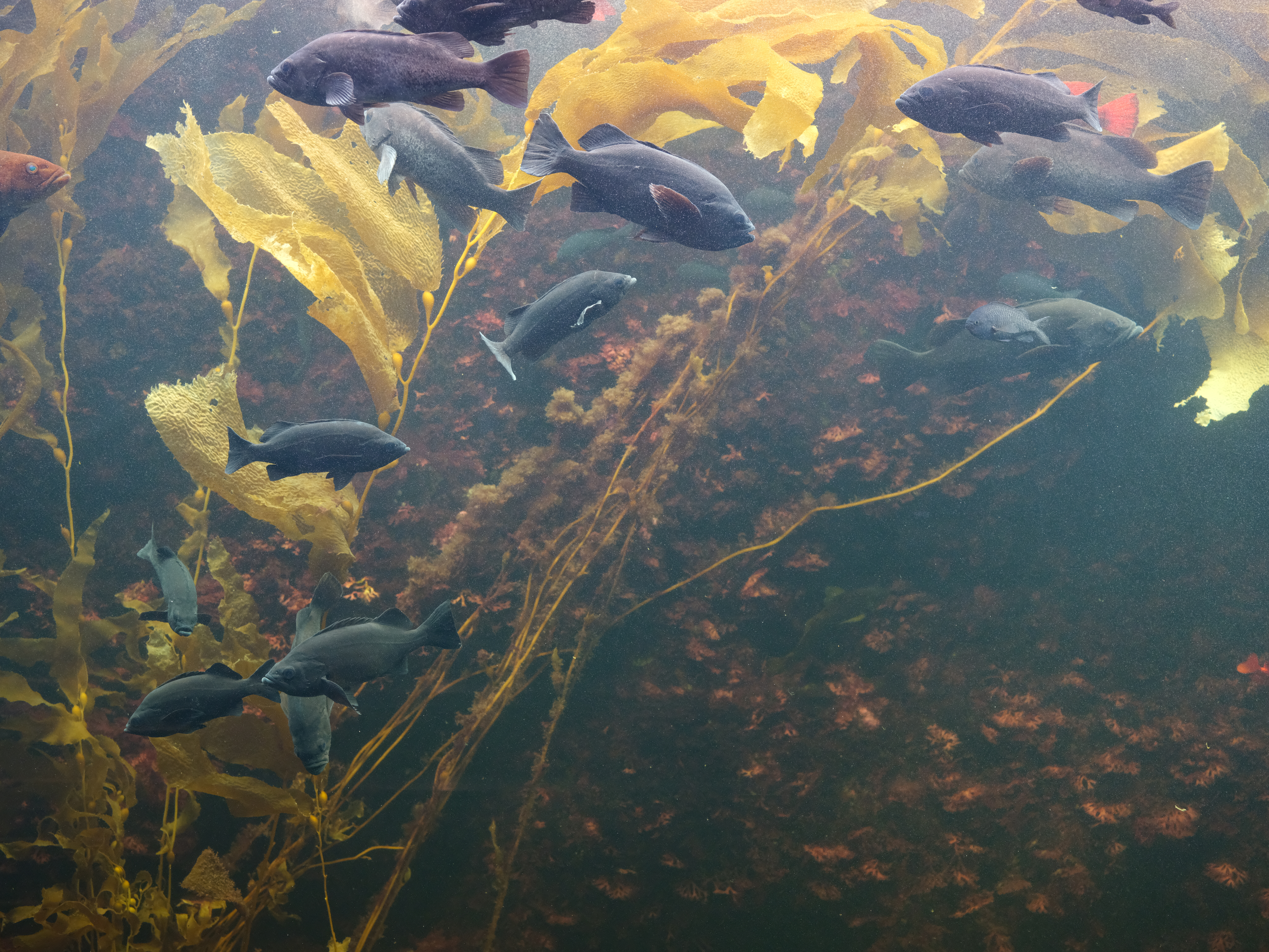 GFX 50R / GF63mmF2.8 R WR / ISO 3200 / F4.5 / 1/240秒 / -0.7EV