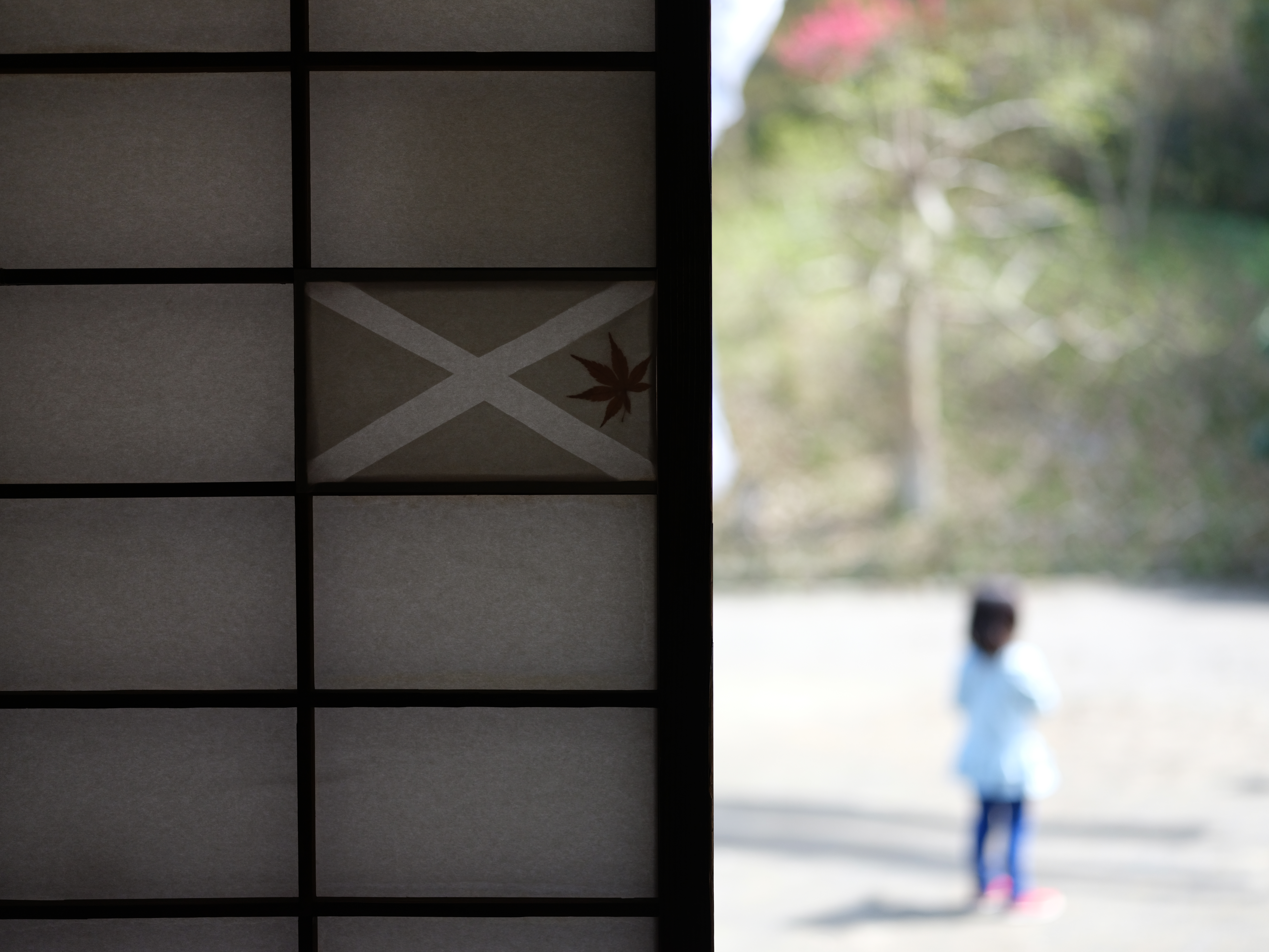 GFX 50R / GF63mmF2.8 R WR / ISO 800 / F2.8 / 1/1250秒 / ±0EV / DR100