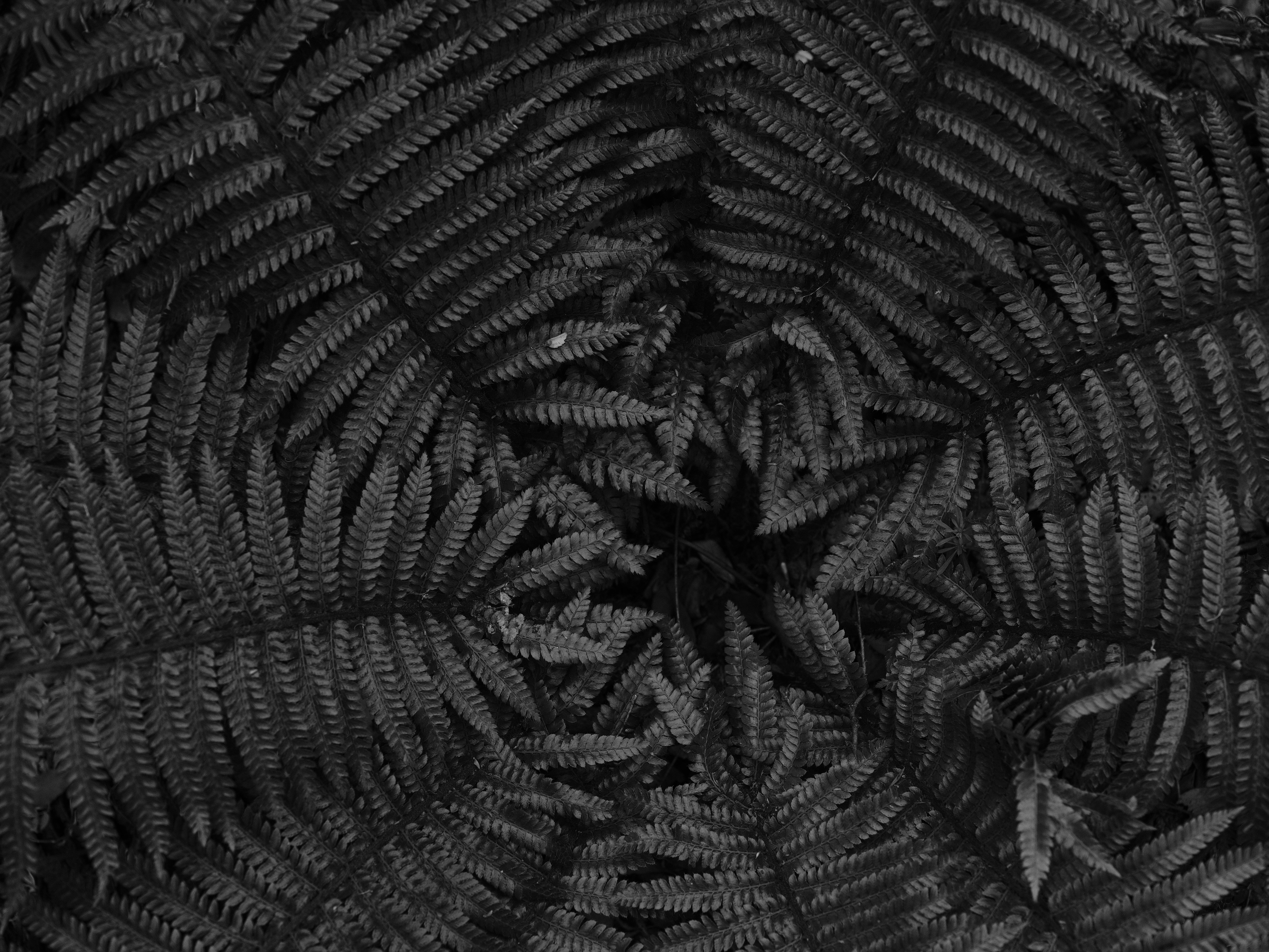 GFX 50R / GF63mmF2.8 R WR / ISO 500 / F5.6 / 1/240秒 / -1EV