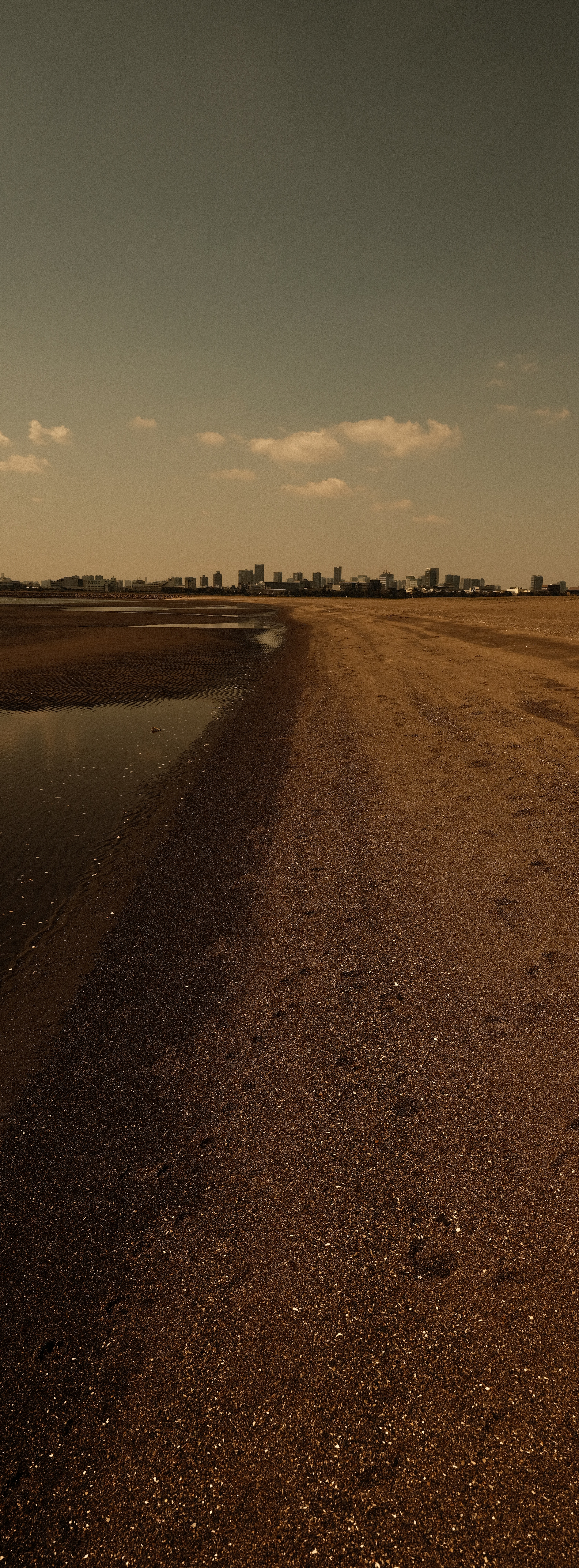 GFX 50R / GF23mmF4 R LM WR / ISO 100 / F10 / 1/450秒 / -1EV