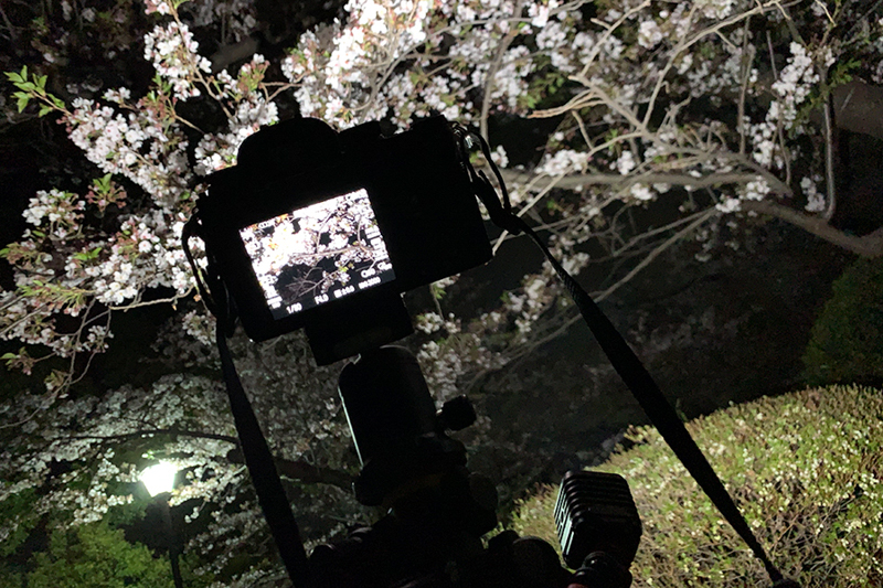 フレキシブルな三脚を利用して三脚に取り付けたときのもの。画面下にあるのがLitra torch 2.0。