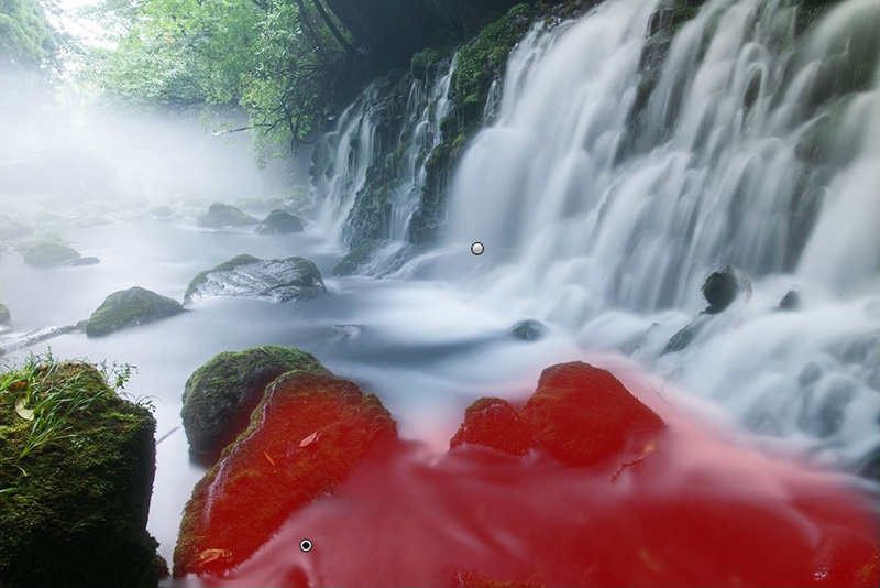 補正ブラシを使うと画面内の一部を個別に調整できます。