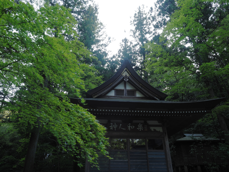 秩父市周辺には数多くの寺院がある。木々に囲まれた社は、秩父盆地特有の暑い夏でも涼しく過ごせる。逆光のシーンだがコントラストが低下せずにシャープに写せた（撮影：中村貴史）<br><span class="fnt-85">OLYMPUS OM-D E-M1 Mark II / M.ZUIKO DIGITAL ED 12-40mm F2.8 PRO / 12mm（24mm相当） / 絞り優先AE（F5.6・1/50秒・-0.3EV） / ISO 200</span>