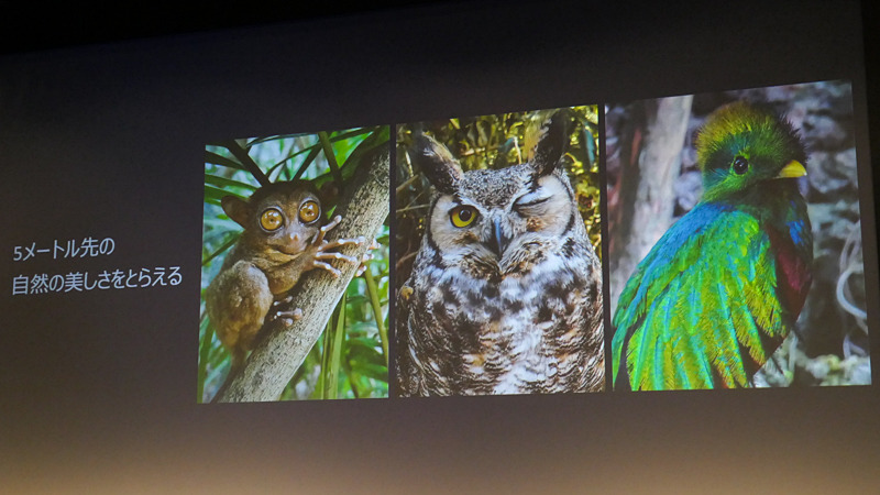 ライバル機種と、月の撮り比べ。