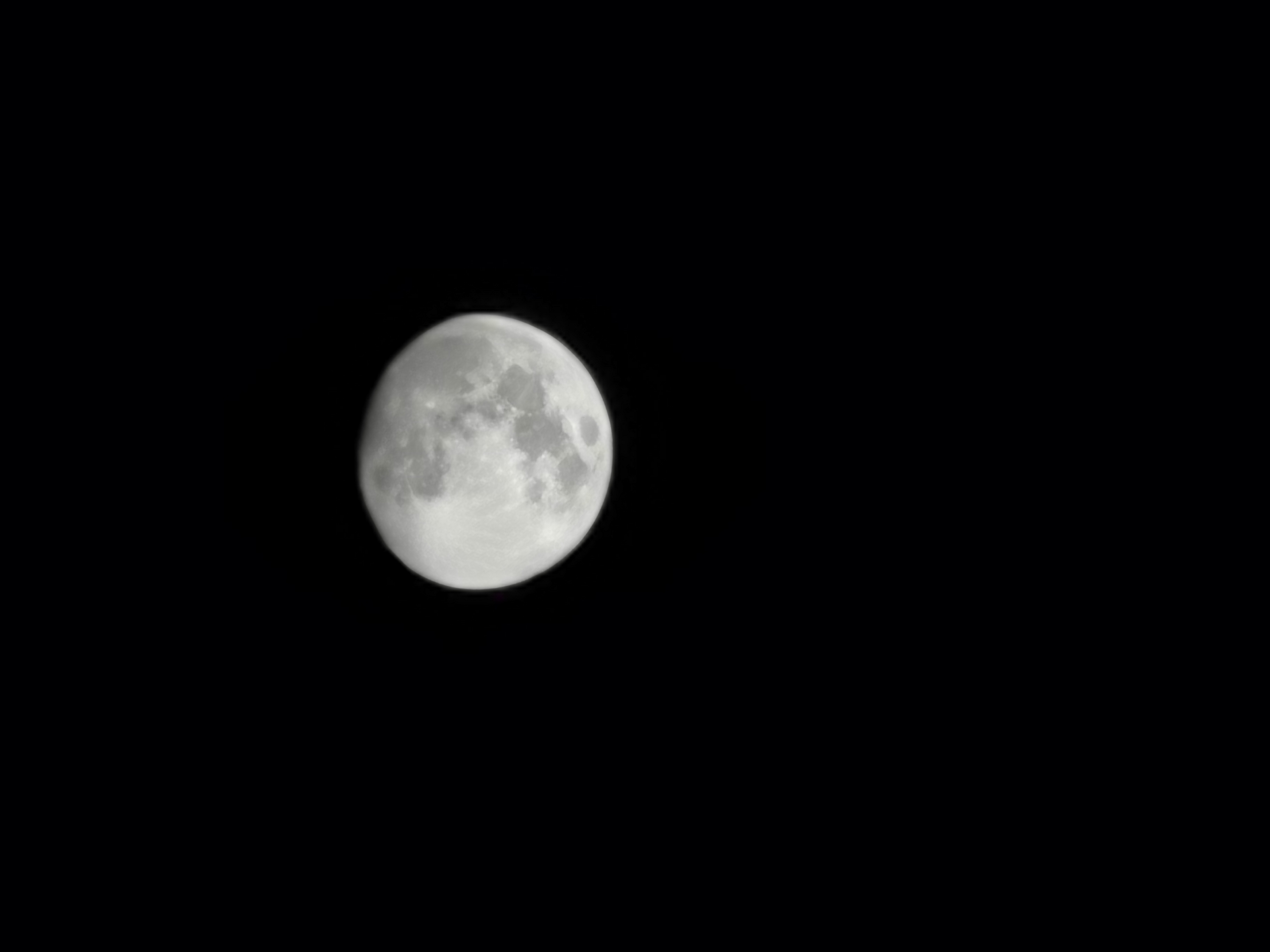 <span class="fnt-85">HUAWEI P30 / 7.48mm（35mm判換算802mm相当） / ノーマルプログラム（1/250秒・F2.4・±0EV） / ISO 50</span>