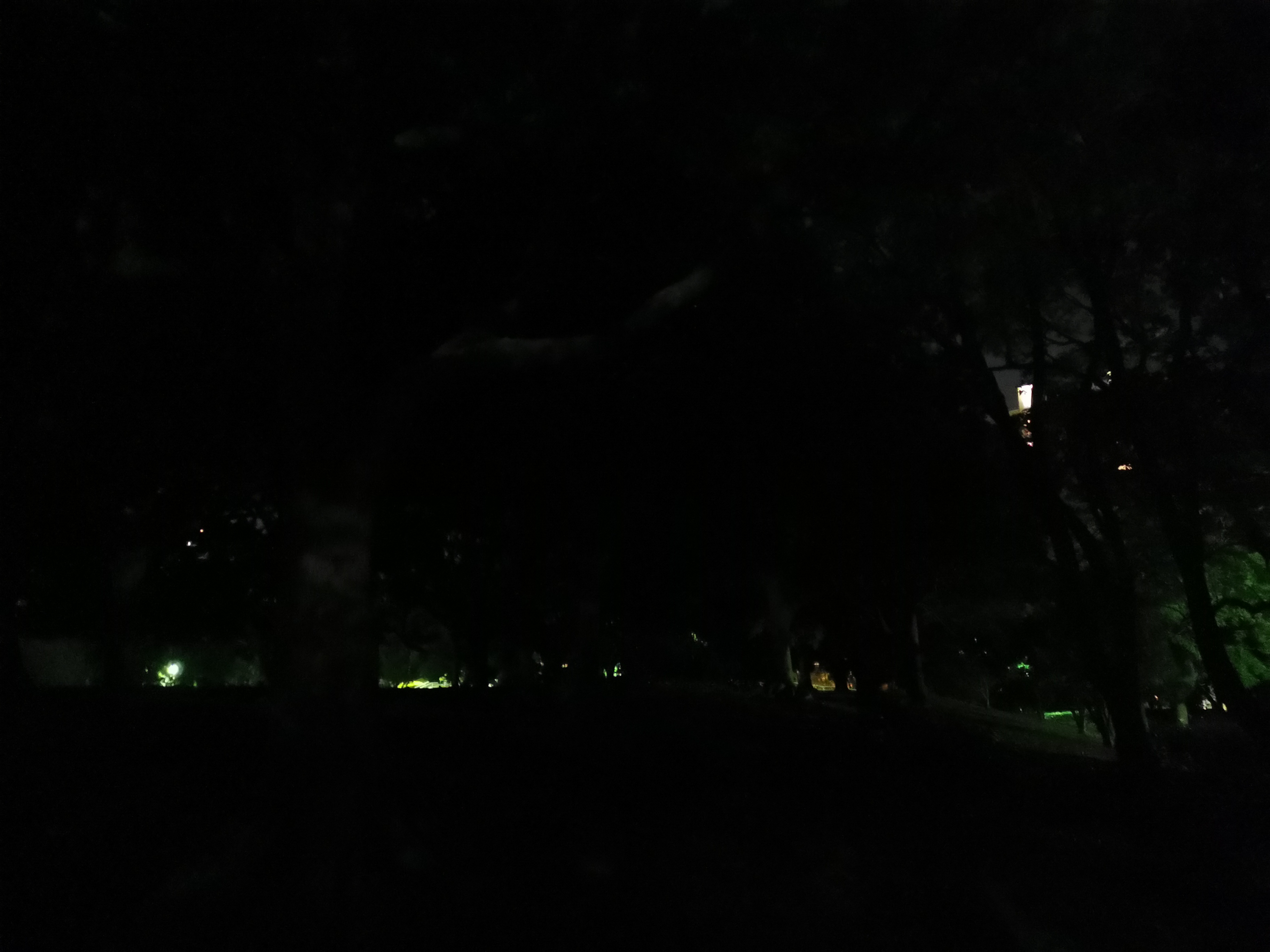 <span class="fnt-85">HUAWEI P30 / 5.58mm（35mm判換算27mm相当） / ノーマルプログラム（1/17秒・F1.8・±0EV） / ISO 6400</span>