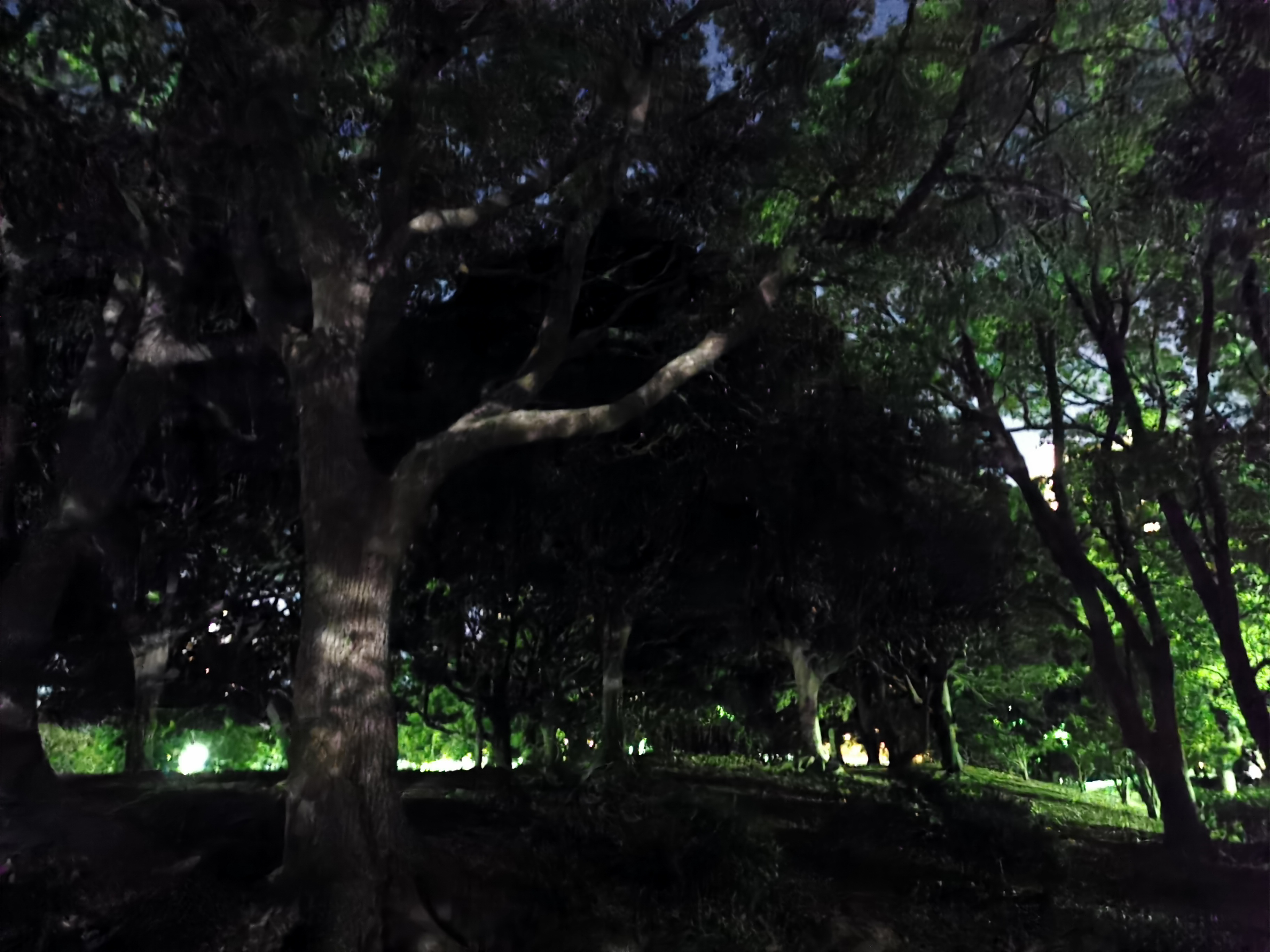 ISO 204800で撮影。ここまでくると一般的なミラーレスカメラでも対応していないレベルだ。P30 ProにいたってはISO 409600をサポートしている。<br><span class="fnt-85">HUAWEI P30 / 5.58mm（35mm判換算27mm相当） / ノーマルプログラム（1/4秒・F1.8・±0EV） / ISO 204800</span>