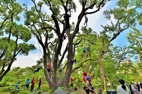 第5回  東京都公園協会 都立公園・庭園フォトコンテスト グランプリ作品 作品タイトル：蓑虫の気分 受賞者名：間瀬 幾雄
