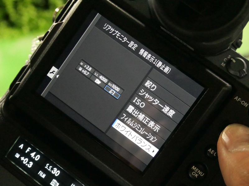 リアサブモニターにヒストグラムを表示したところ。