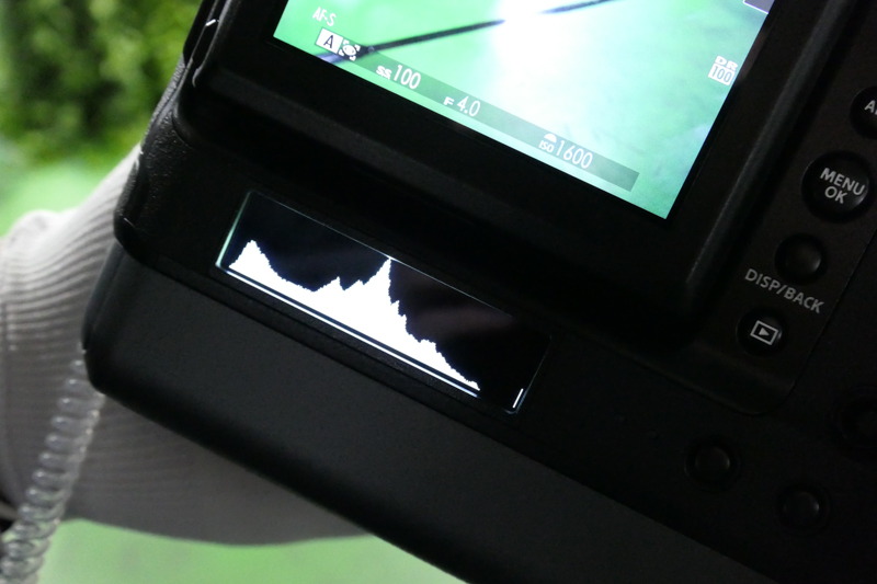 リアサブモニターにヒストグラムを表示したところ。