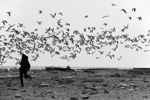 写真展レポート】時代 − 立木義浩 写真展 1959-2019 − - デジカメ Watch