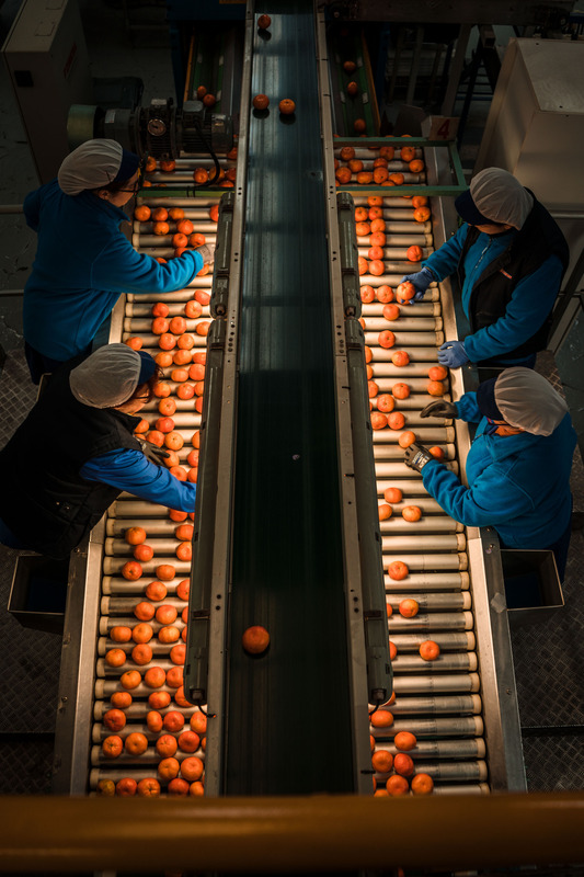 学生部門最優秀賞 ©Sergi Villanueva, courtesy of Sony World Photography Awards 2019