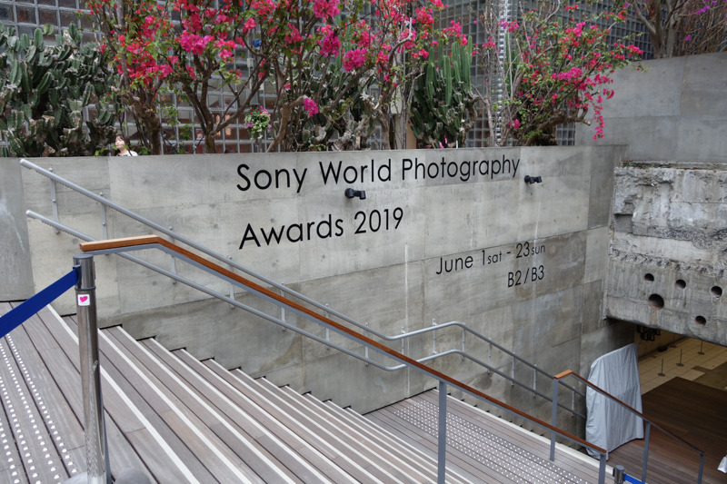 地上からの入口。