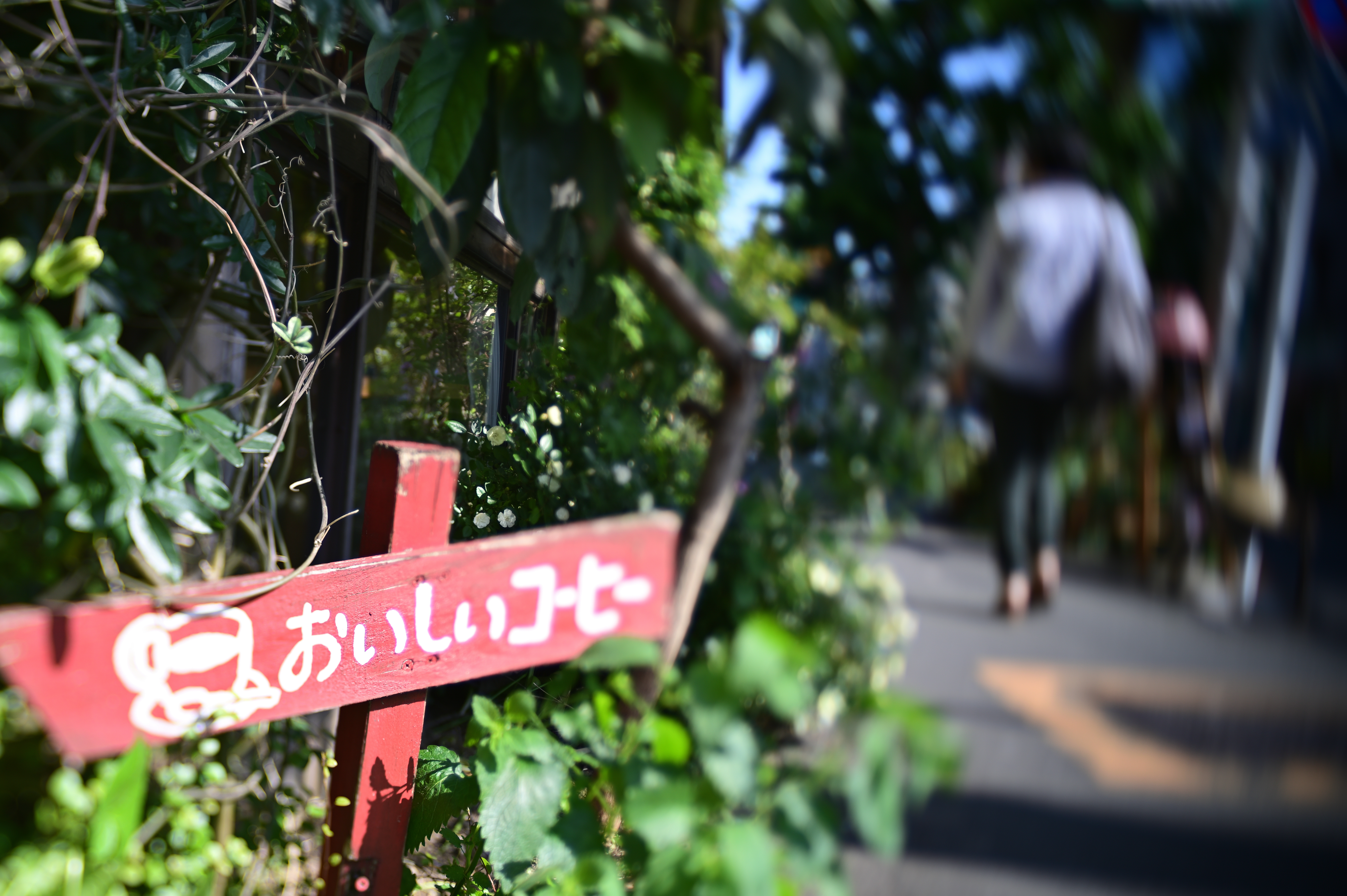 Nikon Z 6 / Lensbaby COMPOSER PRO II EDGE 35 / 絞り優先AE（1/500秒・F3.5・-0.3EV） / ISO100 / ADL：弱め / ピクチャーコントロール：風景