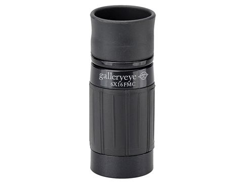 187単眼鏡 4倍 12mm口径 ギャラリーEYE 美術鑑賞向け Kenko 51BePFQoIKL._UF1000,1000_QL80_.jpg