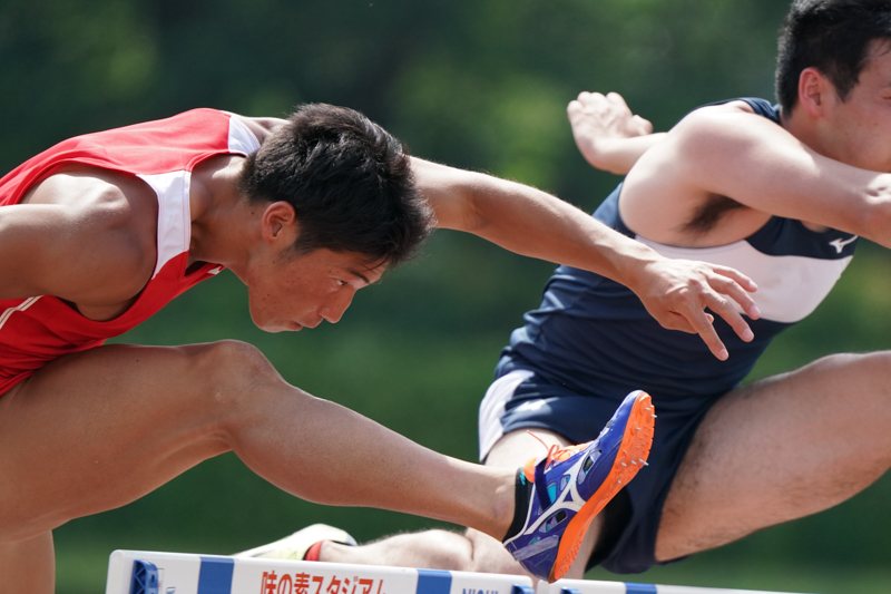 α9 / FE 200-600mm F5.6-6.3 G OSS + 1.4xテレコンバーター / 774mm / シャッター速度優先AE（1/2,500秒・F9.0・-0.7EV） / ISO 2500