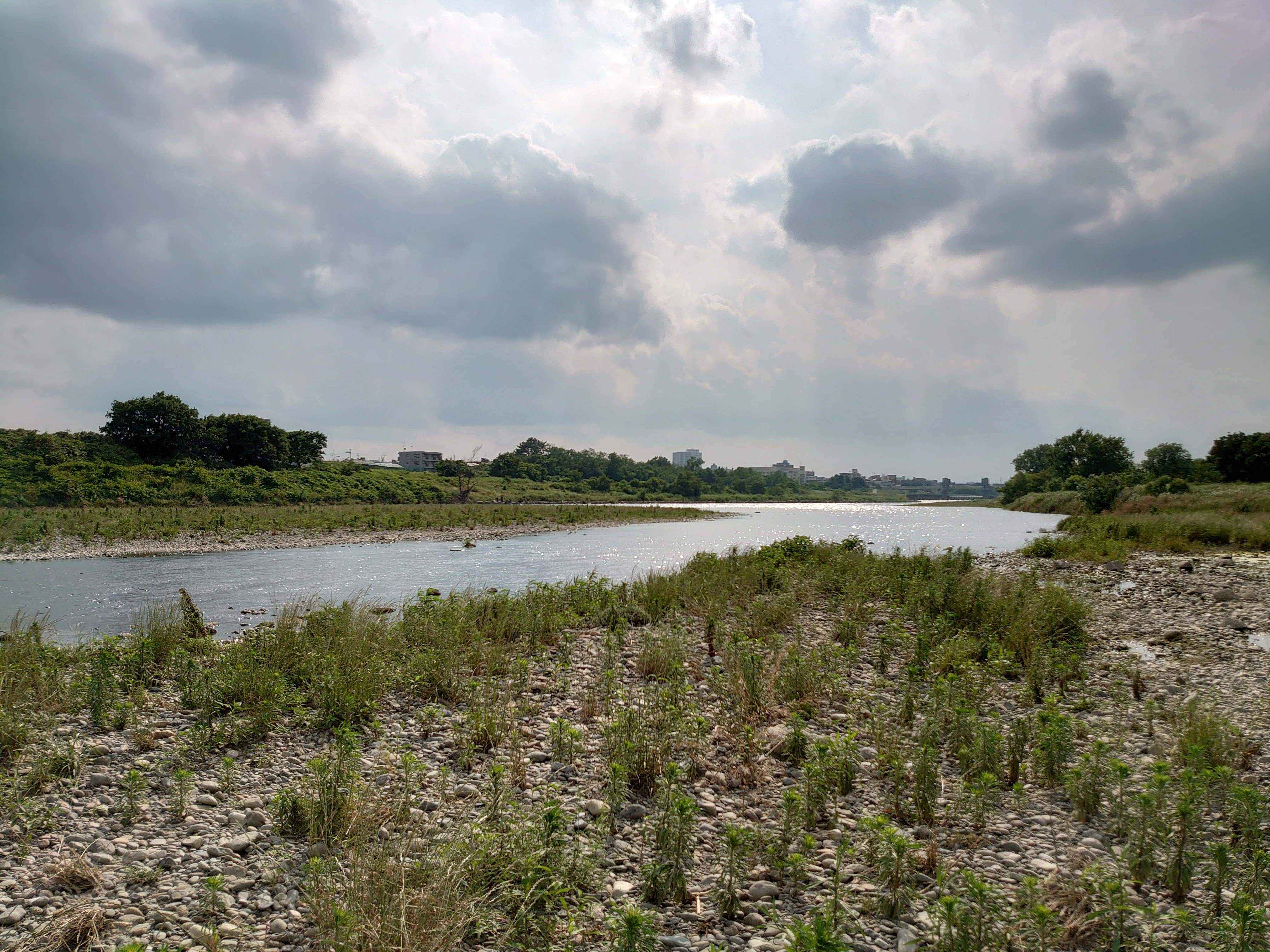 Xperia 1 / 1/5,000秒 / F1.6 / ISO 64 / 4.26mm