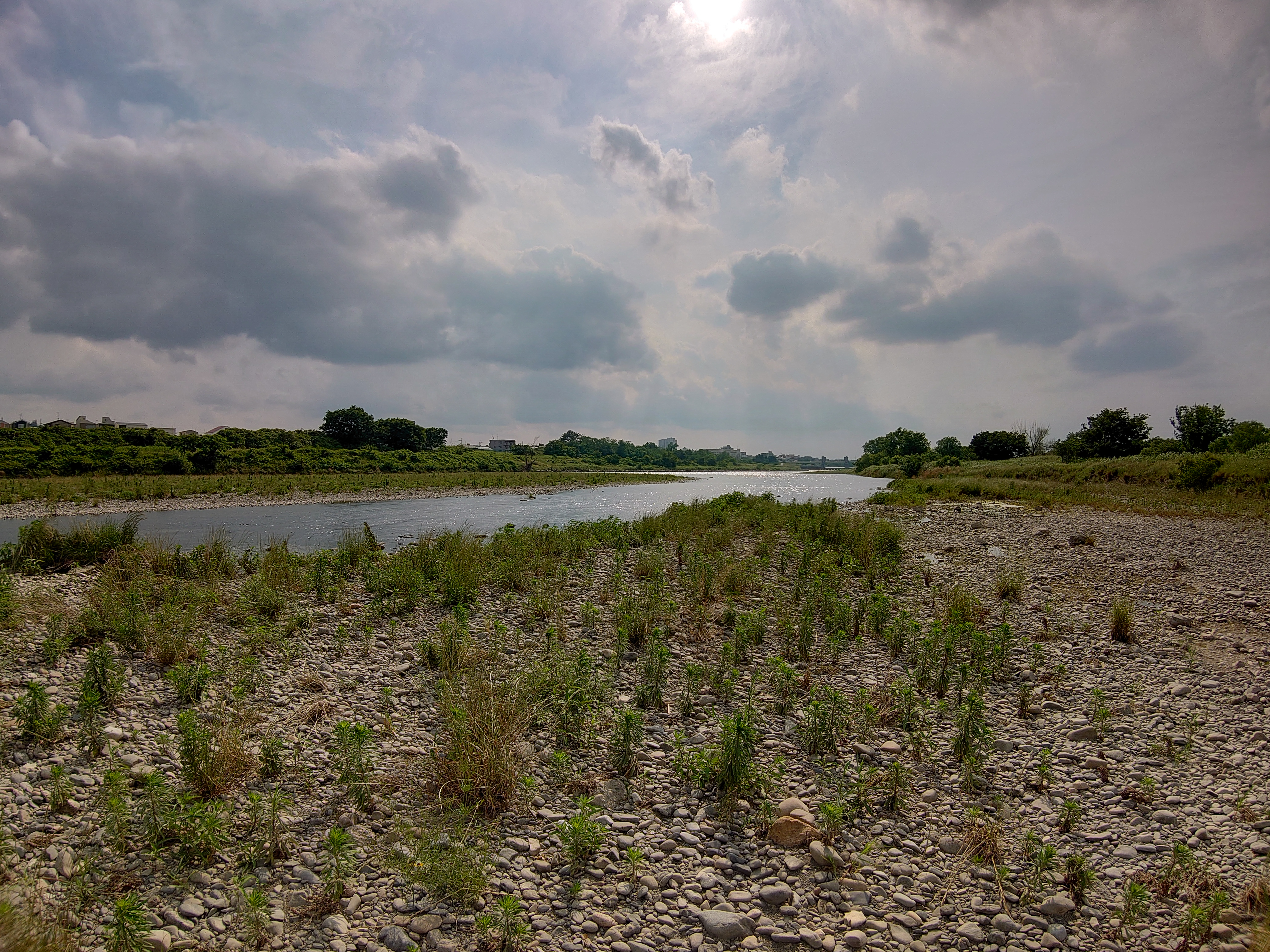 Xperia 1 / 1/1,600秒 / F2.4 / ISO 40 / 1.97mm