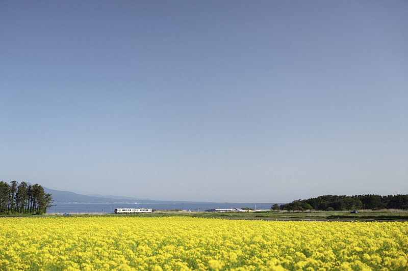 ライカSL (Typ 601)　VARIO-ELMARIT-SL F2.8-4/24-90mm ASPH.（44mm）　絞り優先オート（F3.5、1/3,200秒）　ISO 400　WB:太陽光（大湊線/陸奥横浜〜有畑）