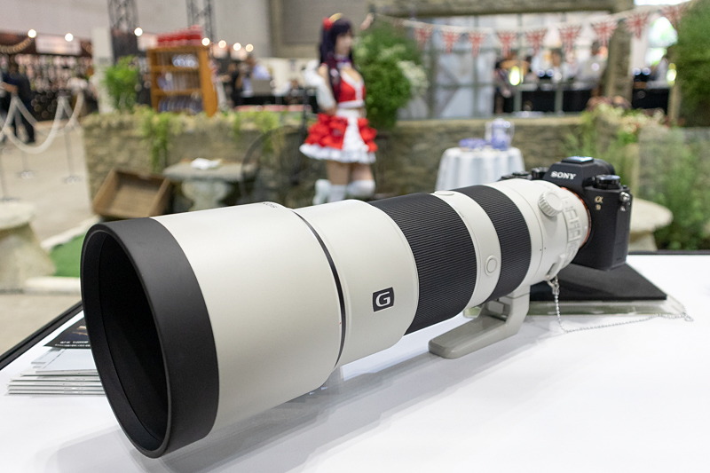 FE 200-600mm F5.6-6.3 G OSS