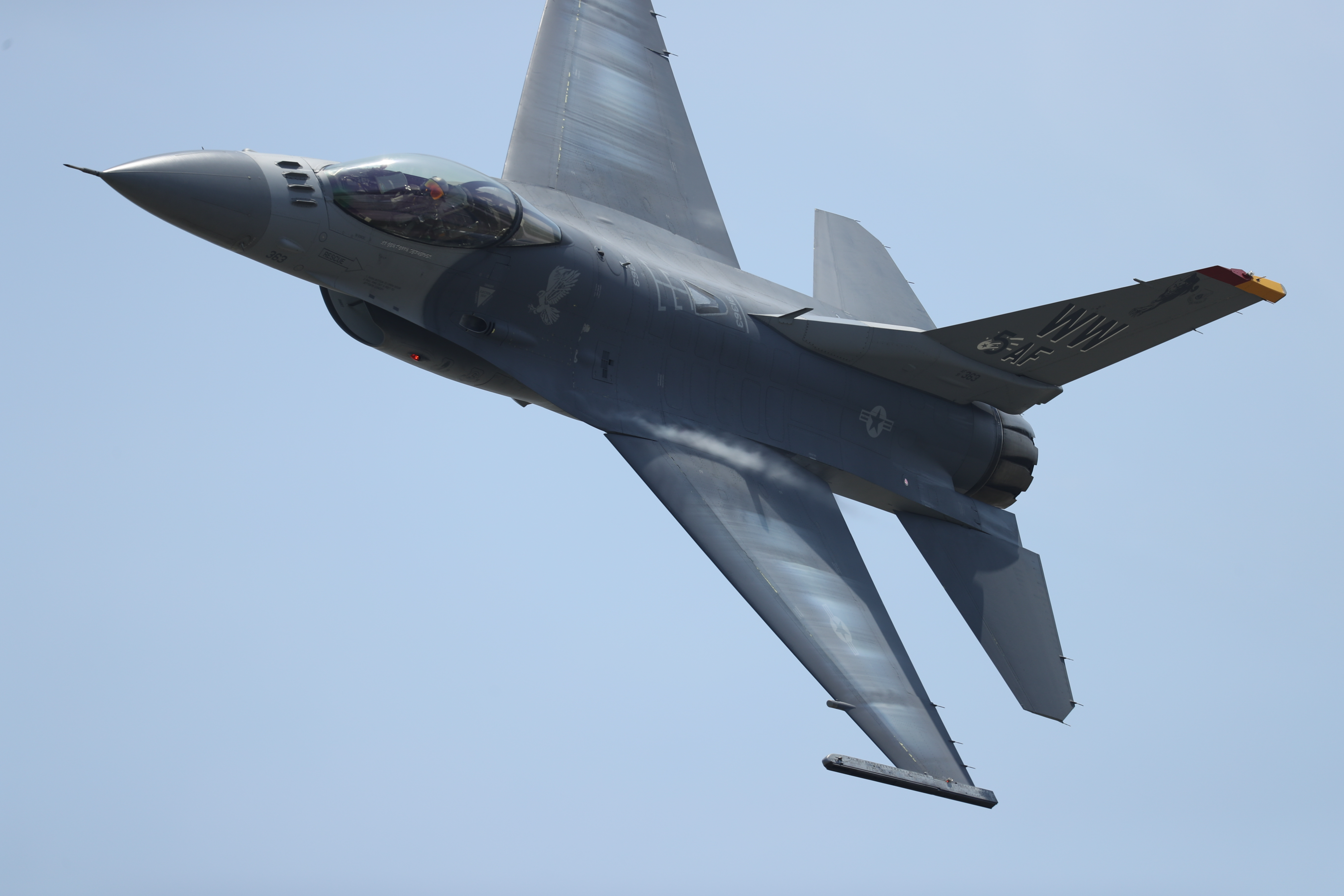 Canon EOS-1D X Mark II / EF600mm F4L IS III USM / シャッター優先AE（1/2,500秒、F4.5、±0EV） / ISO 160